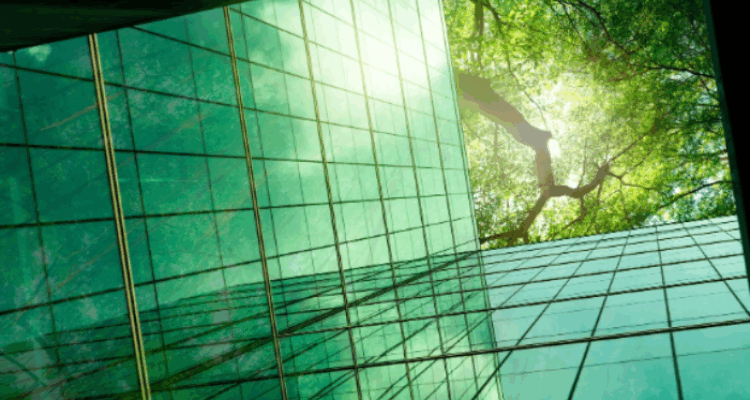 Elevadores podem ser ecologicamente corretos?